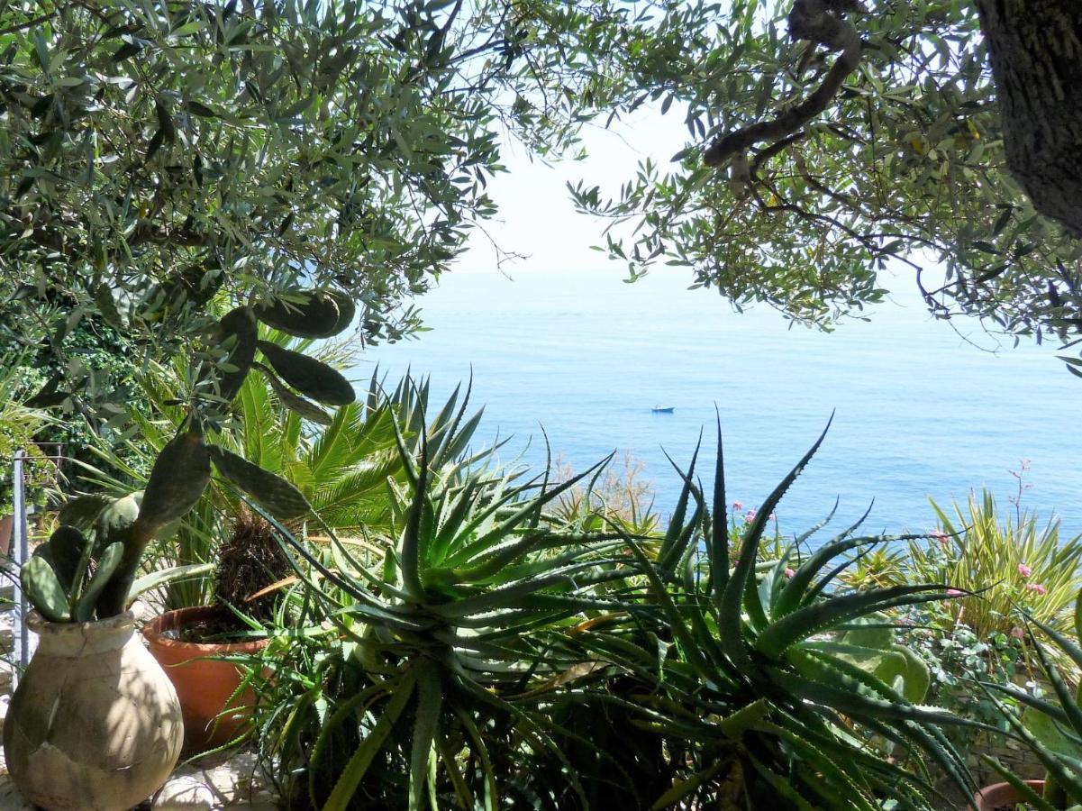 Le Case Di Recco By Holiday World Εξωτερικό φωτογραφία